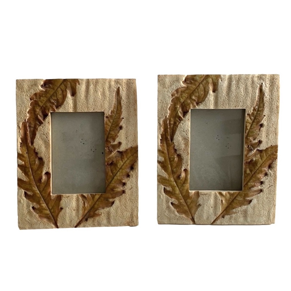 Stone Leaf Fossil Frames Set of 2